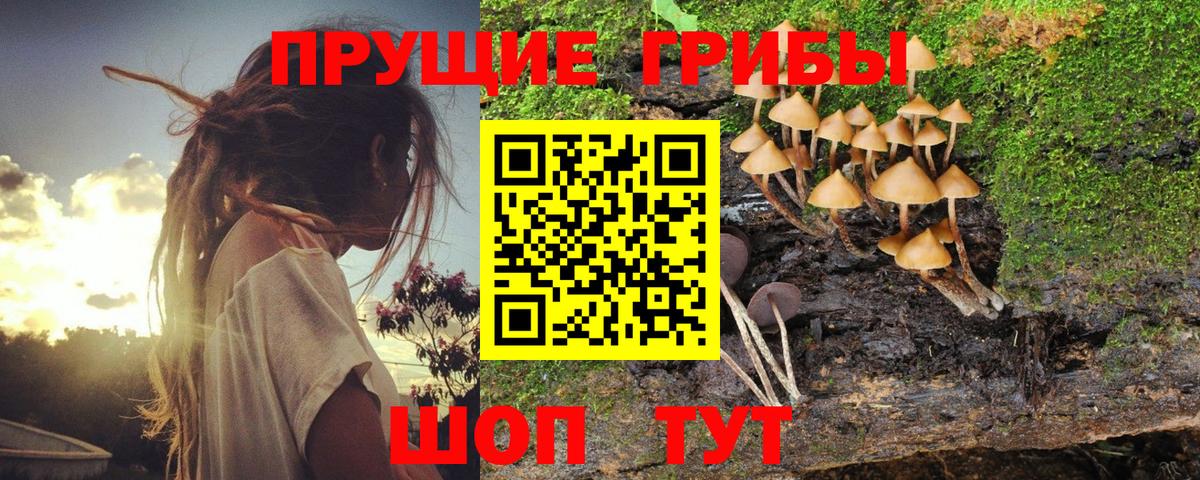 Псилоцибиновые грибы MAGIC MUSHROOMS Кунгур