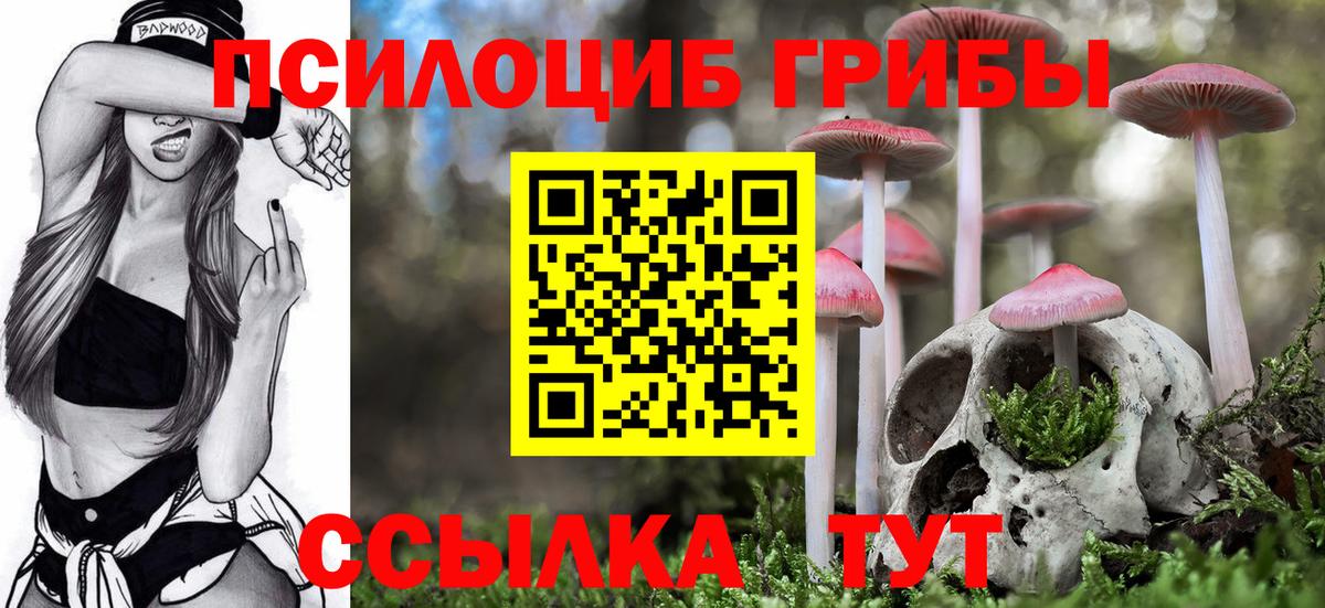 Галлюциногенные грибы мухоморы  Вход с VPN  Кунгур  Галлюциногенные грибы Cubensis 